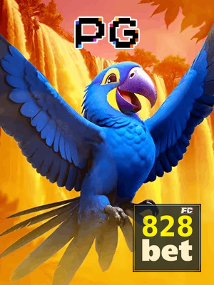 828BET bônus — cashback 15 por cento e níveis VIP